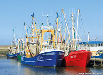 Boat postcards | Postcard fishing boats Boat postcards | Postcard fishing boats