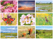 Postcard sets | Nature postcard set Postcard sets | Nature postcard set