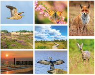 Postcard sets | Nature postcard set Postcard sets | Nature postcard set