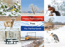 Postcrossing postcards | Happy Postcrossing postcard winter