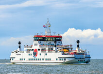 Boat postcards | Oerd ferry postcard