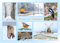 Dutch postcards | Groeten uit Nederland postcard