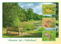 Dutch postcards | Groeten uit Nederland postcard