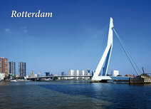 Rotterdam postcards | Erasmus bridge postcard