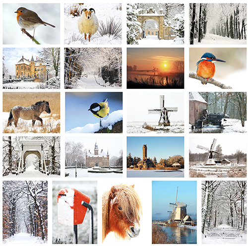 winter postcard set winter postcard set