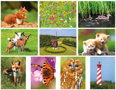 Ansichtkaarten set Ansichtkaarten set